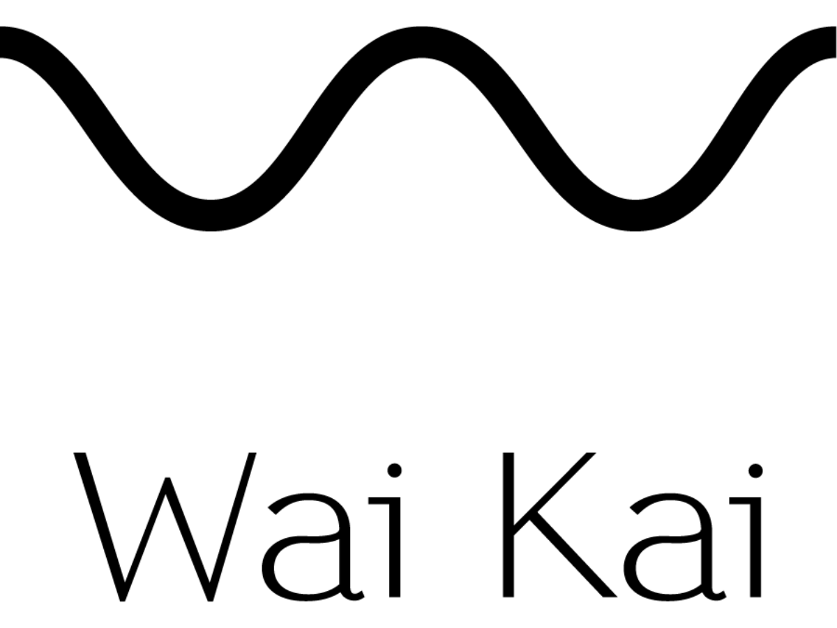 ウォーターアドベンチャーパーク「Wai Kai」ラグーンアドベンチャー参加券